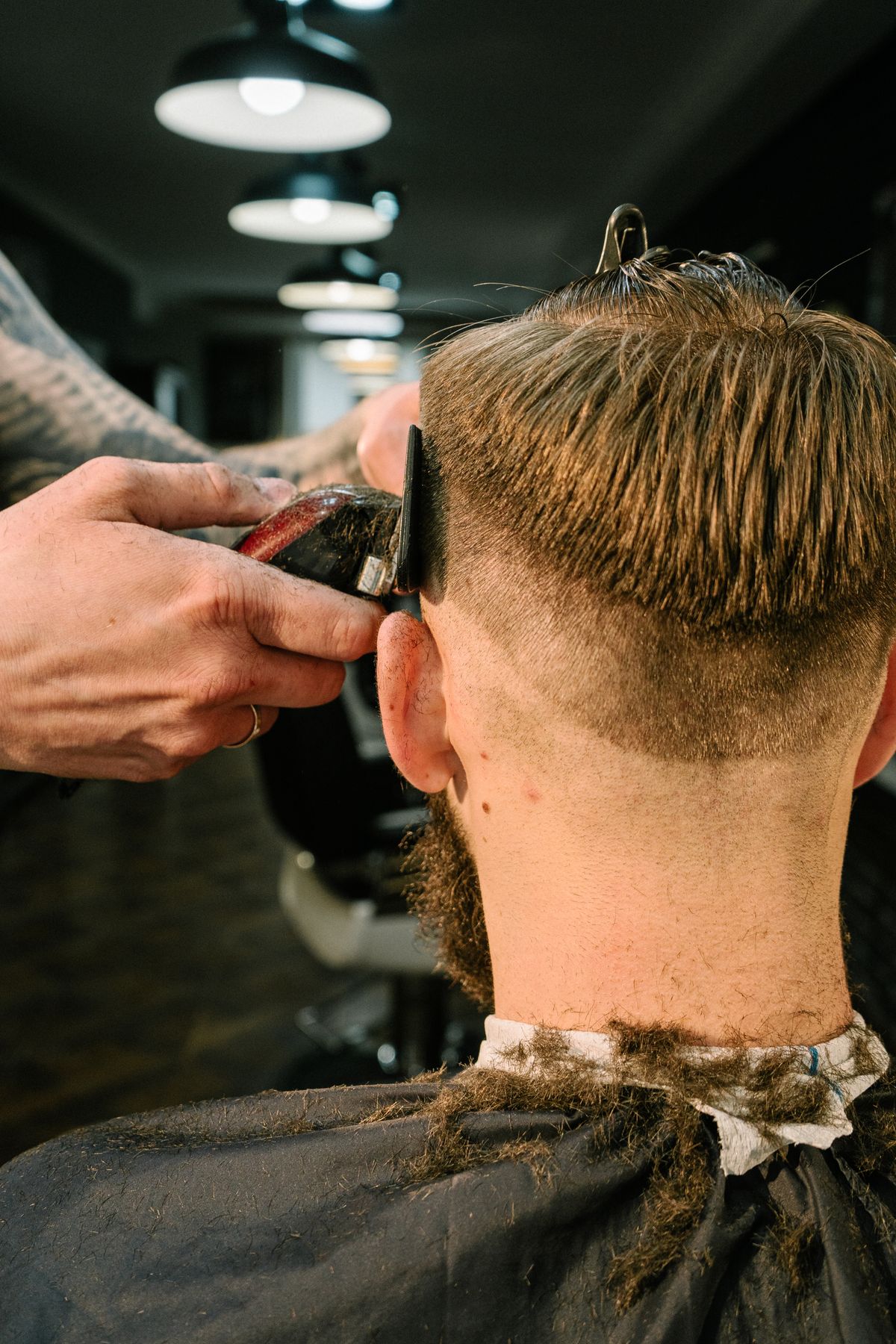Corte